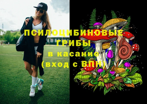 дурь Абинск