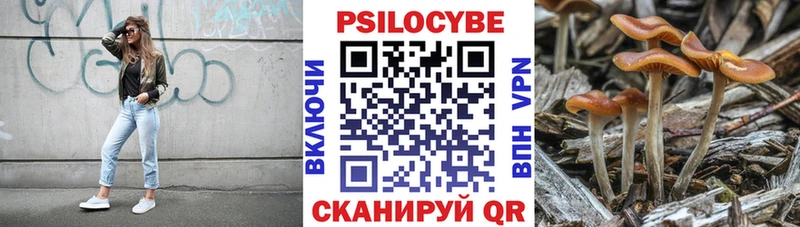 Псилоцибиновые грибы Psilocybine cubensis  где купить наркотик  Галич 